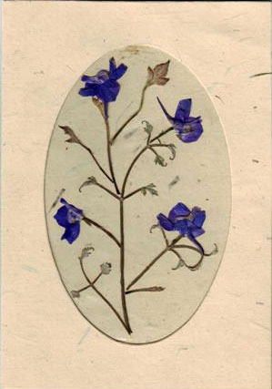 cards