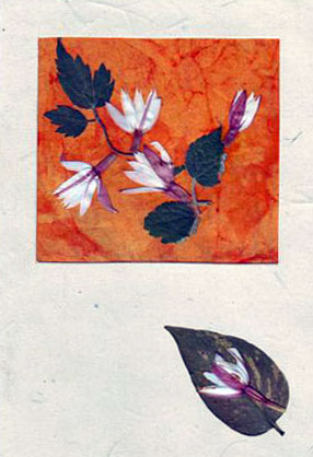 cards