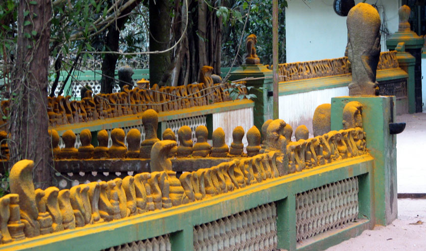 mannarasala snake temple kerala के लिए इमेज परिणाम