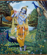Vedic Fellowship