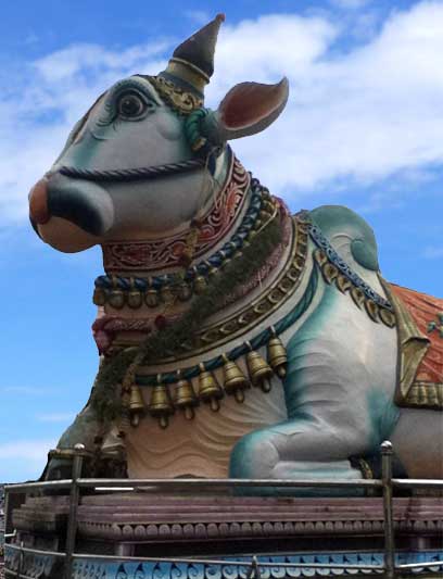 Nandi