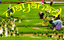 Wayanad