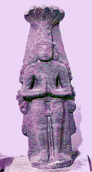 nagaraja